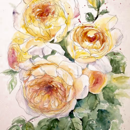 English Roses 1