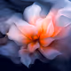 Rodeo posts