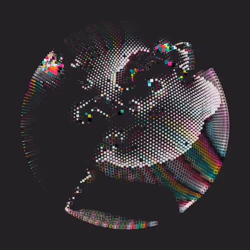 Still C