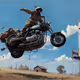 Rodeo posts
