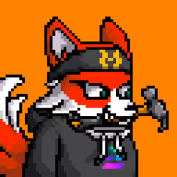 Lava Foxes #2155