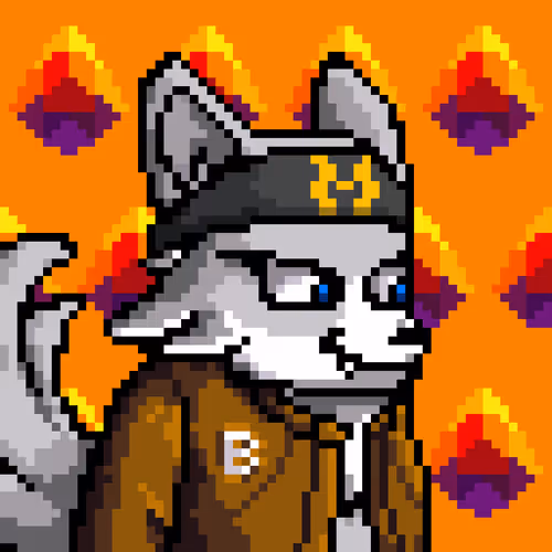Lava Foxes 1