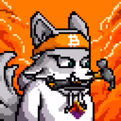 Lava Foxes #3516