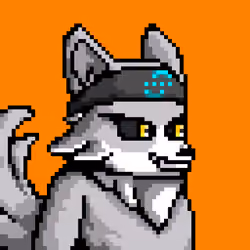 Lava Foxes #136