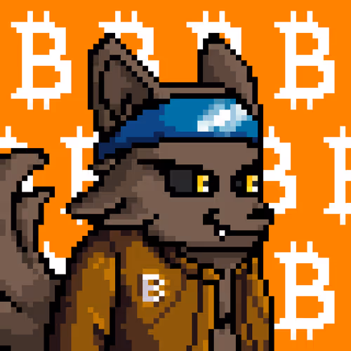 Lava Foxes 1
