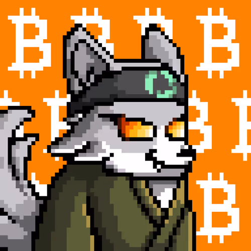 Lava Foxes 1