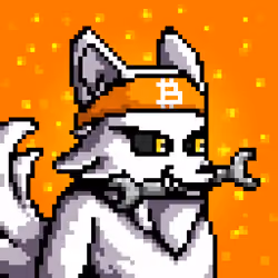 Lava Foxes #3743