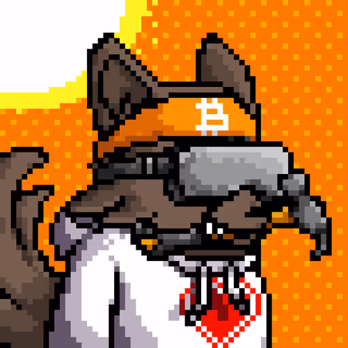 Lava Foxes 1