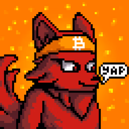 Lava Foxes 1