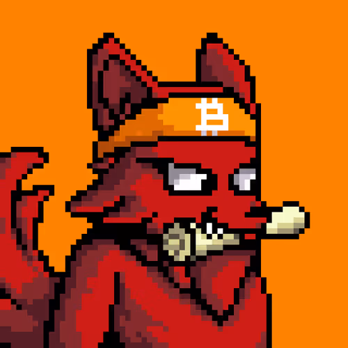 Lava Foxes 1