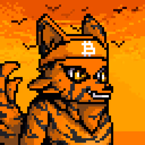 Lava Foxes 1