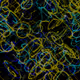 My Generative artwork 