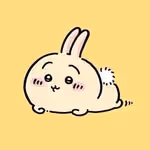USAGI