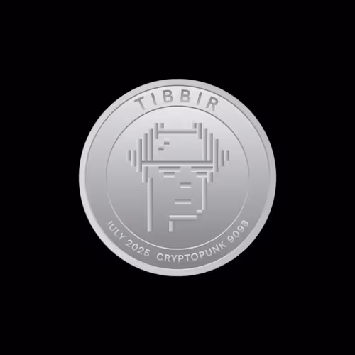 Ribbita: CryptoPunk #9098 TIBBIR Mint