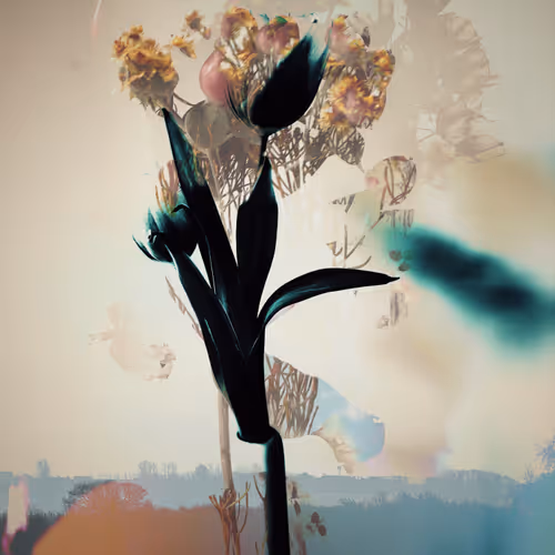 Disjointed Nature