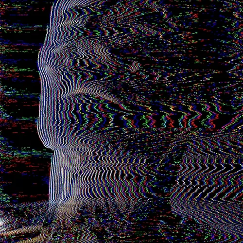 Rodeo Posts 4955