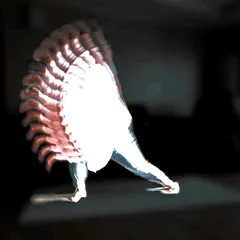 6