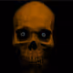 66