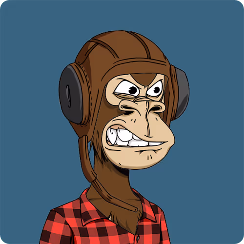 Bored Ape #7041