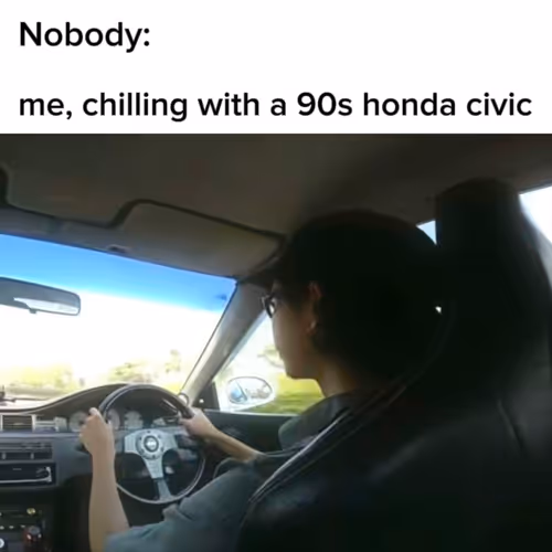 Zora Posts 24524