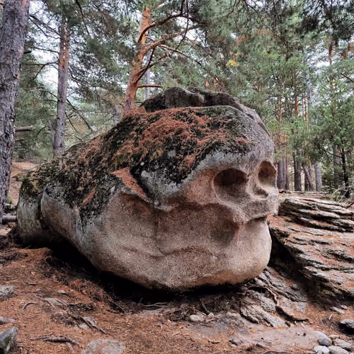 Stone Skull #1