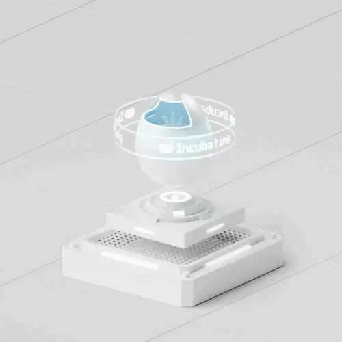 Owlbot Eggs