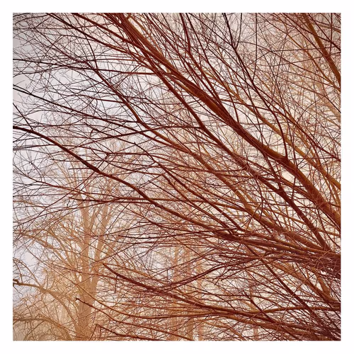 Shima Photography
