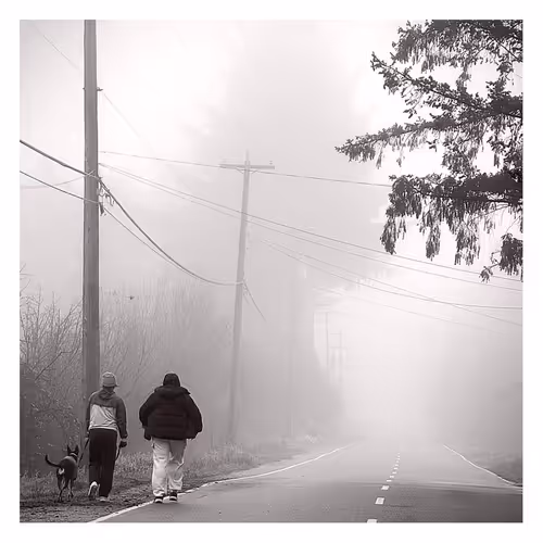 Shima Photography