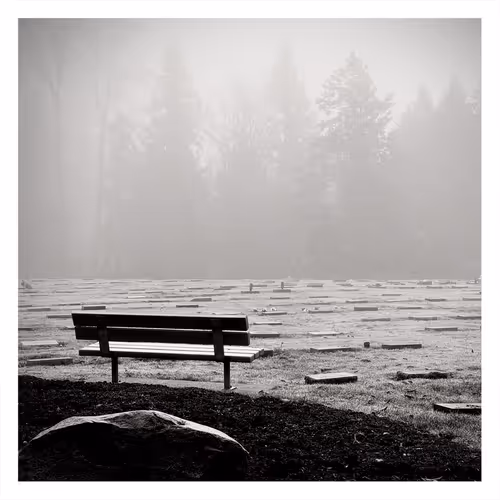 Shima Photography