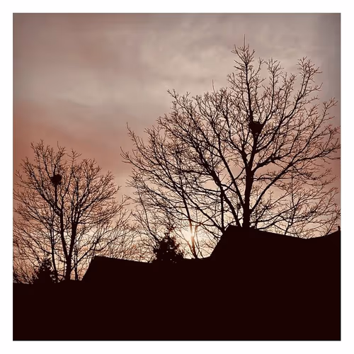 Shima Photography