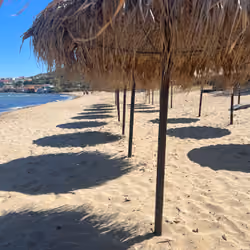 summer vibe in island
