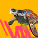 337