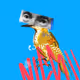 73