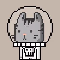 4040
