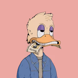 Down Market Ducks #1258