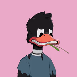 Down Market Ducks #3506