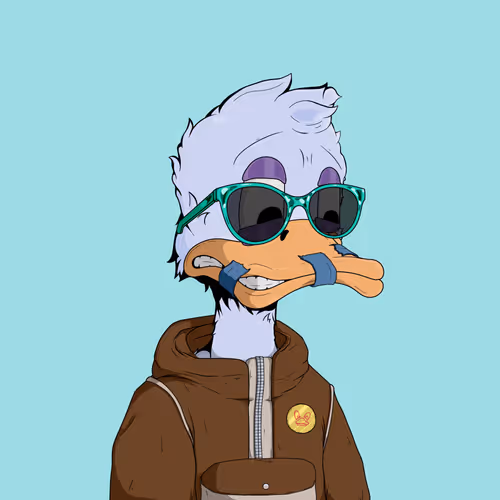 Downmarketducks