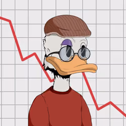 Down Market Ducks #1809