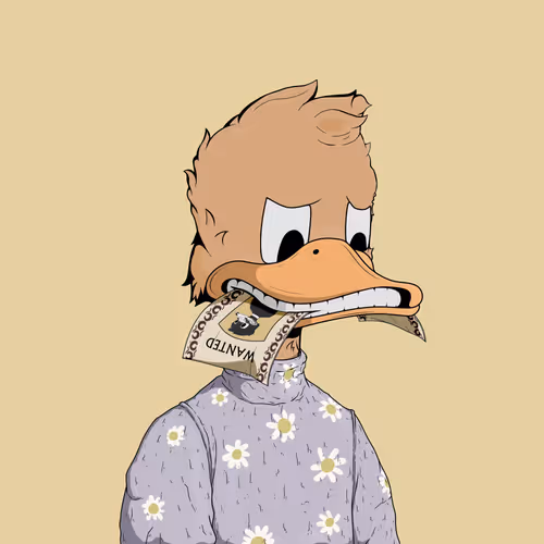 Downmarketducks