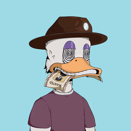 Downmarketducks