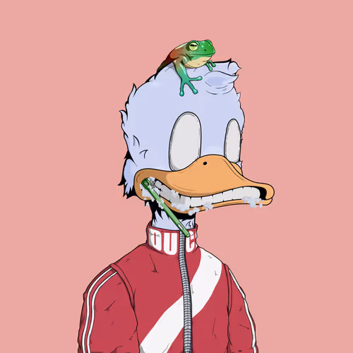 Downmarketducks