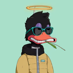 Down Market Ducks #4612