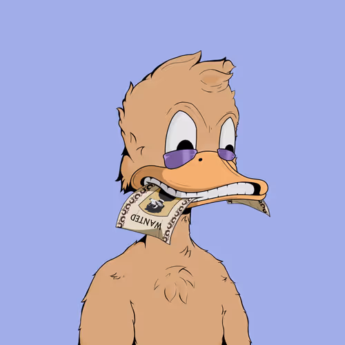 Downmarketducks