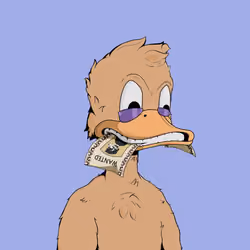 Down Market Ducks #4772