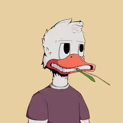Down Market Ducks #2434