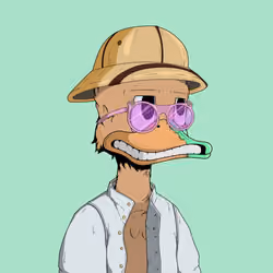 Down Market Ducks #4000
