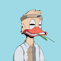 Down Market Ducks #980