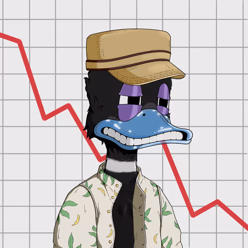 Downmarketducks