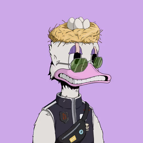 Downmarketducks