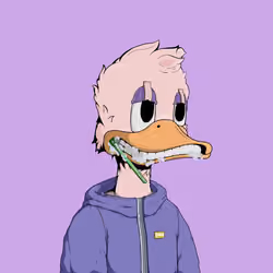 Down Market Ducks #323